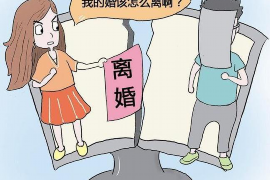 西藏融资清欠服务